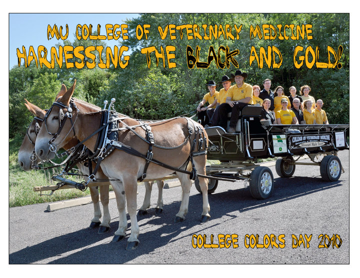 474000427_10114130573359670_1447392776628271659_n